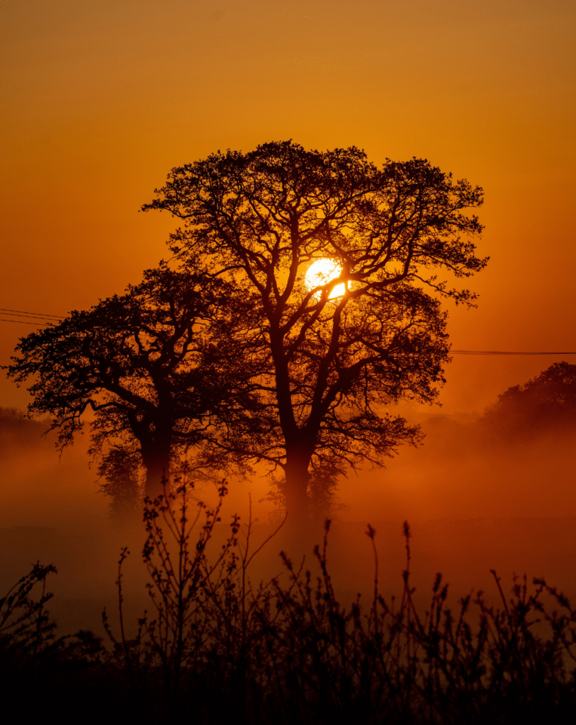 FC Adventure caça esportiva na África